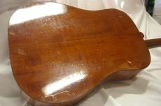 Takamine PT-006_3