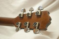 Takamine PT-006_4