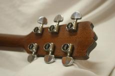 Takamine PT-006_5
