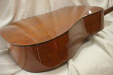 Takamine PT-006_9