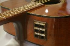 Takamine PT-006_10