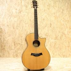 Taylor Cocobolo GA Fall Limited 2008_3