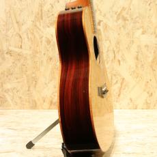 Taylor Cocobolo GA Fall Limited 2008_4