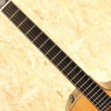 Taylor Cocobolo GA Fall Limited 2008_6