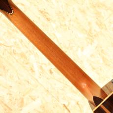 Taylor Cocobolo GA Fall Limited 2008_7