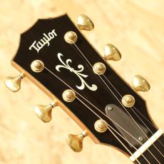 Taylor Cocobolo GA Fall Limited 2008_8