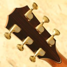Taylor Cocobolo GA Fall Limited 2008_9