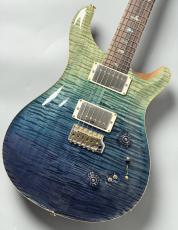 Paul Reed Smith [PRS] Wood Library Custom24-08 10Top/Brazilian Rosewood【2017年製】