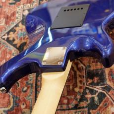 Sire S1/D.Navy_9
