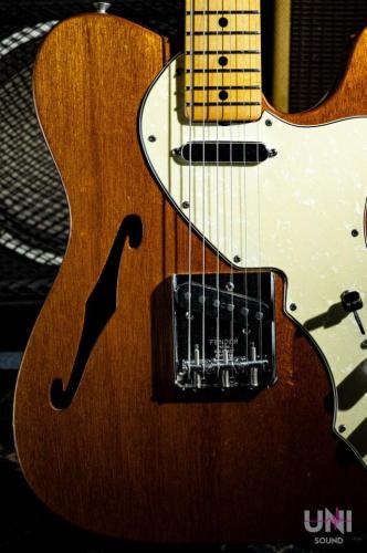 Fender Telecaster Thinline / 1969