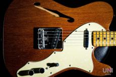 Fender Telecaster Thinline / 1969_3