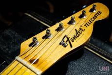 Fender Telecaster Thinline / 1969_4