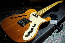 Fender Telecaster Thinline / 1969_9