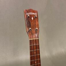 S.S.Stewart Concert_8