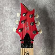 G-Life Guitars G-Phoenix Custom / Coral Pink Burst_2