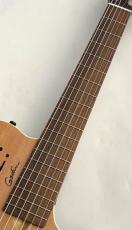 Godin 	【炎の決算セール!】Multiac Grand Concert Encore【デュアルピックアップ搭載】_3