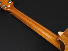 DCT GR-645K CE ~Natural Gloss~_9