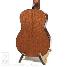HIDAKA GUITARS C-Raise_4
