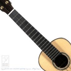 HIDAKA GUITARS C-Raise_5