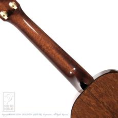 HIDAKA GUITARS C-Raise_6