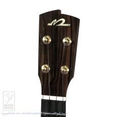 HIDAKA GUITARS C-Raise_7