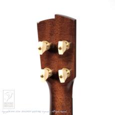 HIDAKA GUITARS C-Raise_8