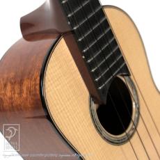 HIDAKA GUITARS C-Raise_10