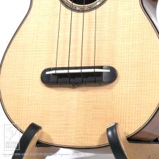 HIDAKA GUITARS C-Raise_11