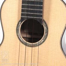 HIDAKA GUITARS C-Raise_12