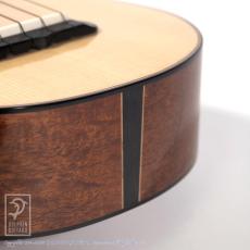 HIDAKA GUITARS C-Raise_13
