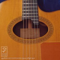 Bert Kwakkel Custom Steel Strings (Jacaranda)【最大36回無金利キャンペーン対象品】_13