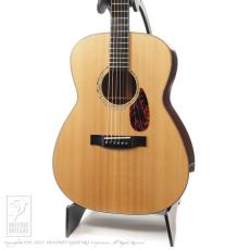 HIDAKA GUITARS TS-02【最大36回無金利キャンペーン対象品】