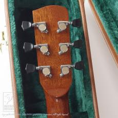HIDAKA GUITARS TS-02【最大36回無金利キャンペーン対象品】_7
