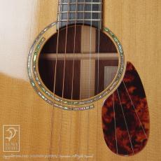 HIDAKA GUITARS TS-02【最大36回無金利キャンペーン対象品】_12