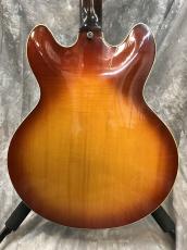Gibson ES-335 '68_7