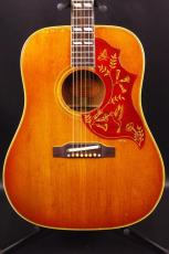 Gibson HummingBird