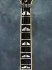 YAMAHA SG-T2 See Through Navy(STN)_4