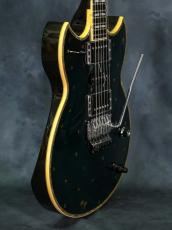YAMAHA SG-T2 See Through Navy(STN)_16