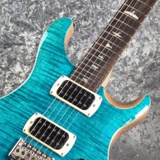 Paul Reed Smith [PRS] SE Custom 24 ~Sapphire~ #CTI H088876 [3.60kg][2025年製]_2