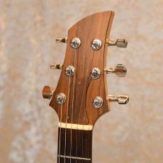 Greco AP-1000_5