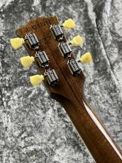 Gibson 【決算セール!】Les Paul Standard '50s P-90 Gold Top【2026'USED】_5