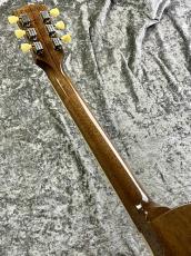 Gibson 【決算セール!】Les Paul Standard '50s P-90 Gold Top【2026'USED】_6