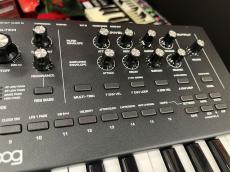 Moog 【決算セール】Messenger【展示品1台限り】_4