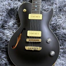 APII PE-5350GE/SH MTBK (Matte Black) 【特価】【生産完了モデル】