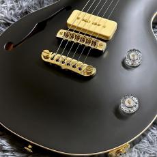 APII PE-5350GE/SH MTBK (Matte Black) 【特価】【生産完了モデル】_3