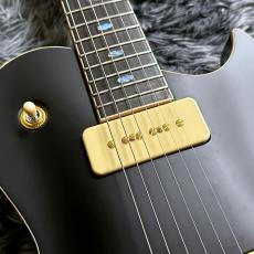 APII PE-5350GE/SH MTBK (Matte Black) 【特価】【生産完了モデル】_5