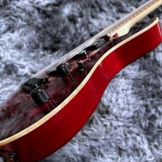 APII MAF-9130BP/MH CR (Crimson Red) 【特価】【生産完了モデル】_10