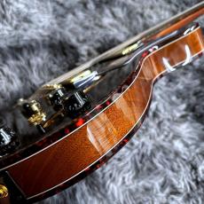 Seventy Seven Guitars ALBATROSS-JAZZ-JT ZR NA_10