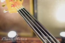 SCHECTER Platinum Wood Series PW-EX-B-BL (Natural)_6