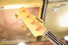 SCHECTER Platinum Wood Series PW-EX-B-BL (Natural)_7